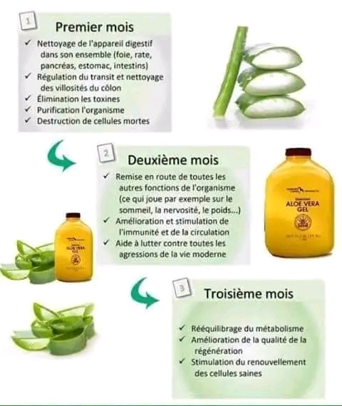 Aloe Vera Gel Rajeunissement, digestion, immunité Améliorer, belle peau... thumbnail